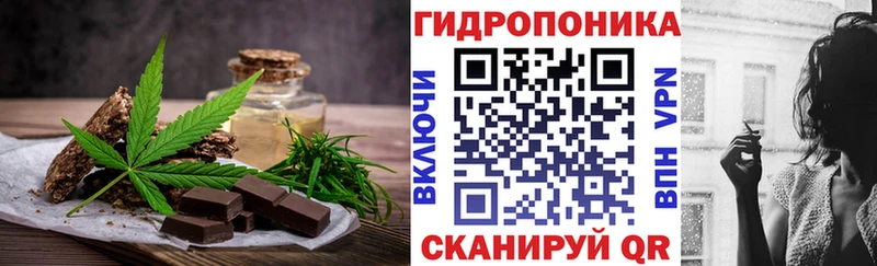 KRAKEN вход  Ува  Cannafood марихуана 