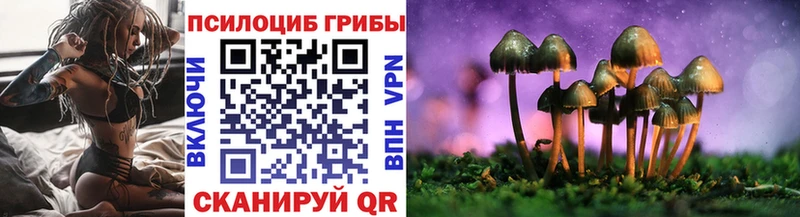 Галлюциногенные грибы Psilocybine cubensis  купить наркотики сайты  Ува 